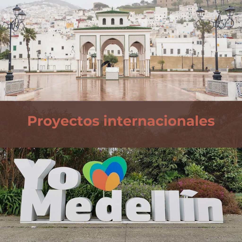 proyectos internacionales